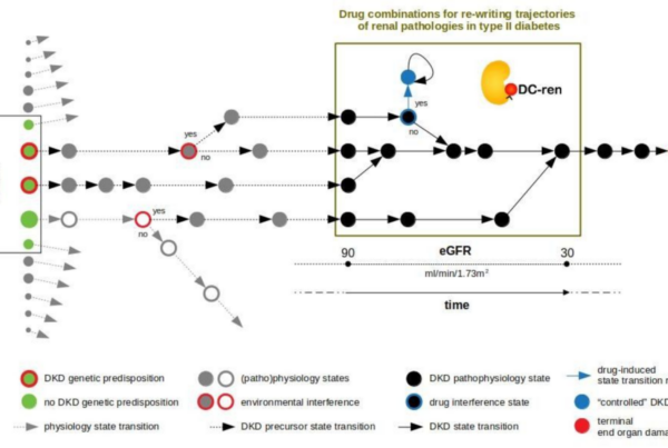 The DC-ren state map concept.